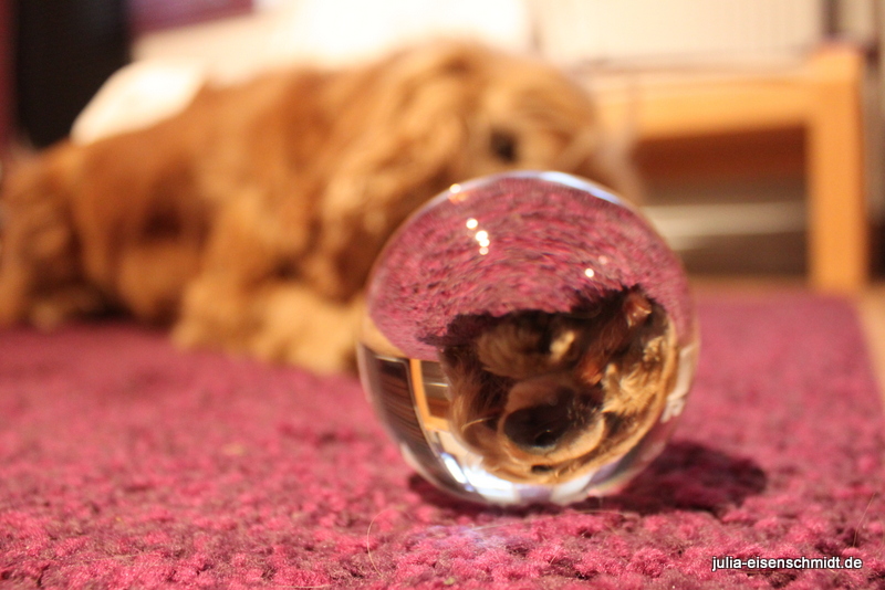 20160518_Molly_Kugel_1