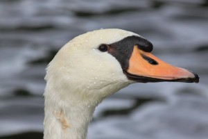 Berlin_002
