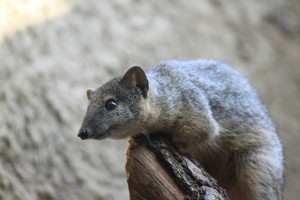Berlin_008