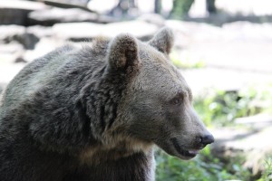 Berlin_051