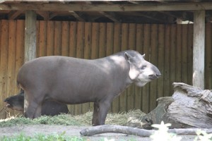 Berlin_064