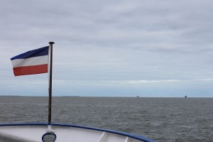 Opa_1