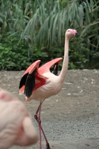 Zoo_Hannover_02 