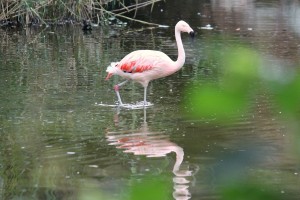 Zoo_Hannover_03 