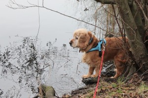 Molly_005 