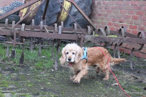 Molly_012 
