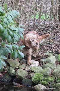 Molly_013 
