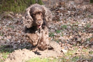 20160320_Besuch_bei_Jonny_01