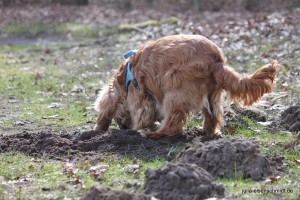 20160320_Besuch_bei_Jonny_02