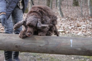 20160320_Besuch_bei_Jonny_03