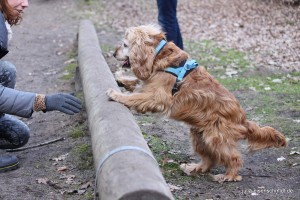 20160320_Besuch_bei_Jonny_04