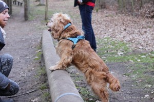 20160320_Besuch_bei_Jonny_05