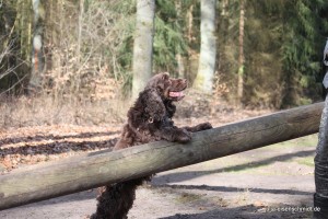 20160320_Besuch_bei_Jonny_06