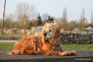 20160411_Spaziergang_05 