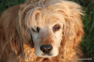 20160411_Spaziergang_09 