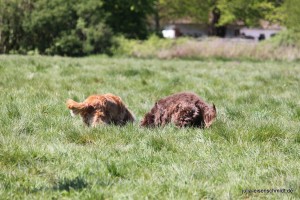 20160505 Himmelfahrt 02