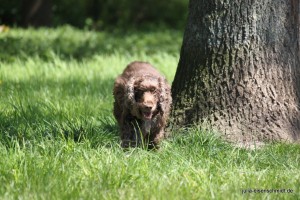 20160505 Himmelfahrt 05