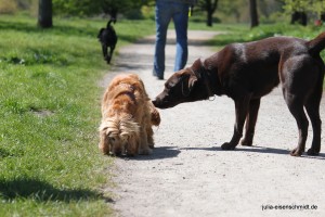 20160505 Himmelfahrt 06