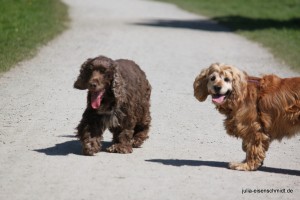 20160505 Himmelfahrt 07