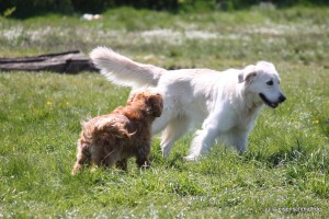 20160505 Himmelfahrt 08