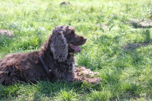 20160505 Himmelfahrt 09