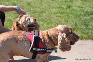 20160505 Himmelfahrt 10