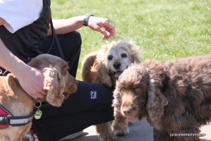 20160505 Himmelfahrt 11