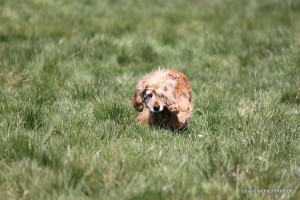 20160505 Himmelfahrt 12