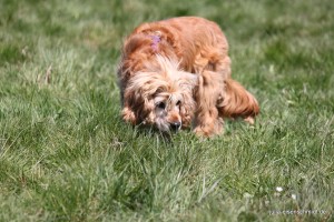 20160505 Himmelfahrt 15