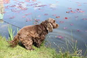 20160505 Himmelfahrt 16