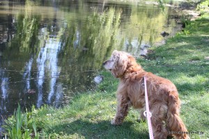 20160505 Himmelfahrt 17