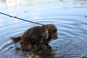 20160505 Himmelfahrt 18