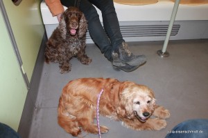 20160505 Himmelfahrt 20