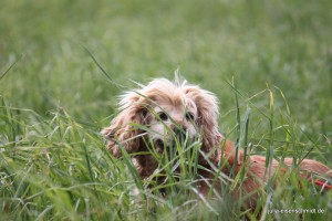 20160516 Molly Jonny 1