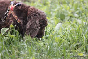 20160516 Molly Jonny 2