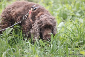 20160516 Molly Jonny 3