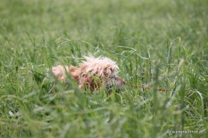 20160516 Molly Jonny 4