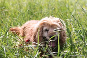 20160516 Molly Jonny 5