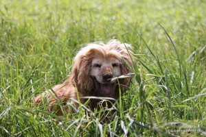 20160516 Molly Jonny 6