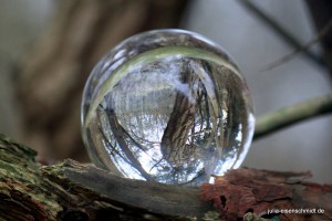 201611 Zingst 19