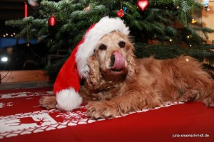 201624 Weihnachten 2