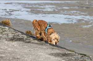20160227_Cuxhaven_02