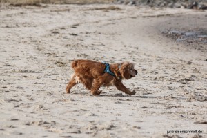 20160227_Cuxhaven_03