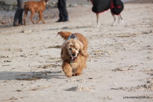 20160227_Cuxhaven_04