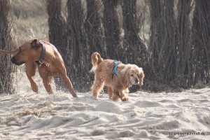 20160227_Cuxhaven_05