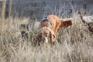 20160227_Cuxhaven_06