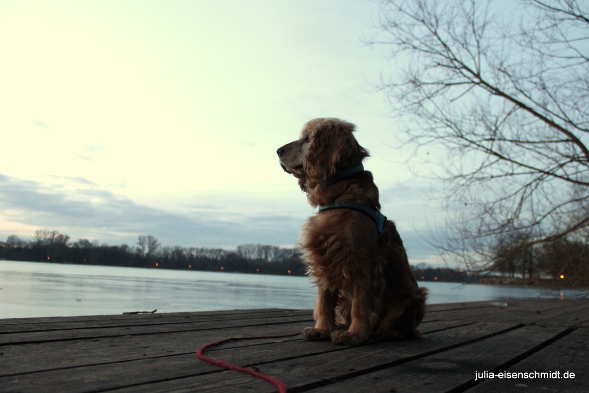 Molly_032