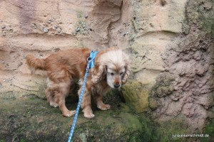 Molly_016