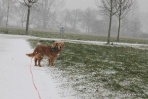 Molly_023
