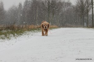 Molly_029